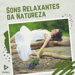 Sons Relaxantes da Natureza - #Natureza