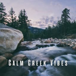 Calm Creek Vibes - Calming Sounds