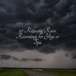50 Relaxing Rain Recordings for Yoga or Spa - Nature & Sounds Background