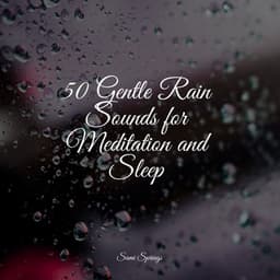 50 Gentle Rain Sounds for Meditation and Sleep - The Sleep Specialist