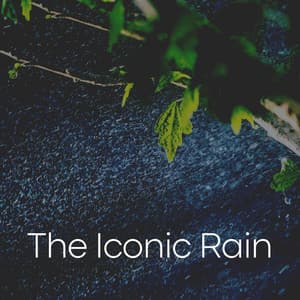 The Iconic Rain - Sample Rain Library