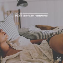 Calming Environment for Relaxation - Instrumental