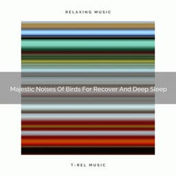 2021 New: Majestic Noises Of Birds For Recover And Deep Sleep - White Noise Meditation