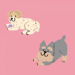 Cool Jazz Violin - Background for Relaxing with The Puppy - Relax My Puppy