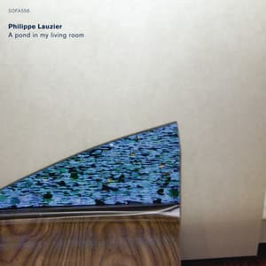 A Pond in My Living Room - Philippe Lauzier