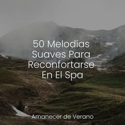 50 Melodías Suaves Para Reconfortarse En El Spa - Rising Higher Meditation