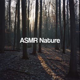 ASMR Nature - Nature Sounds Nature Music