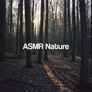 ASMR Nature - Nature Sounds Nature Music