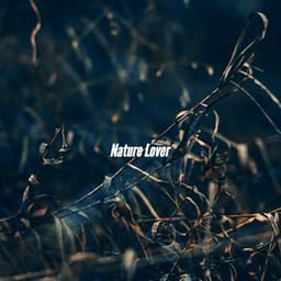 Nature Lover - Sunday Morning Jazz Playlist