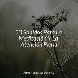 50 Sonidos Para La Meditación Y La Atención Plena - Canción de Cuna