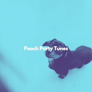 Pooch Party Tunes - Jazz For Sleeping
