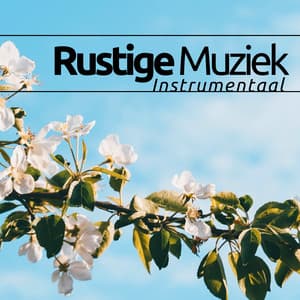 Rustige Muziek Instrumentaal - 13 liedjes voor diepe ontspanning - BioFeed