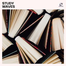 Study Waves - Office Music Experts