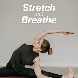 Stretch and Breathe - Hatha Yoga Maestro