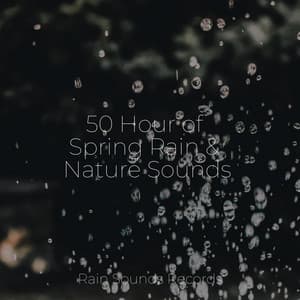 50 Hour of Spring Rain & Nature Sounds - Bird Sounds