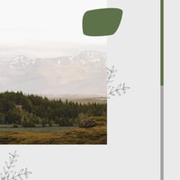 Music for Mental Recharging - Jazz Ballad - Rio Bossa Nova Quartet