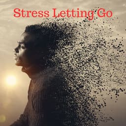 Stress Letting Go - Michael Freedom
