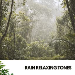 Relaxing Sound of Rain: Showers of Relaxation - Relajacion