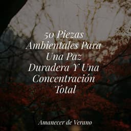 50 Piezas Ambientales Para Una Paz Duradera Y Una Concentración Total - Relajación Piano
