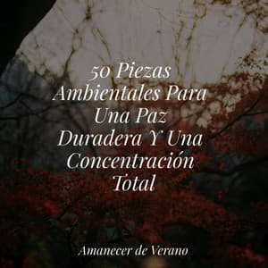 50 Piezas Ambientales Para Una Paz Duradera Y Una Concentración Total - Relajación Piano