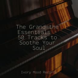 The Grand the Essentials - 50 Tracks to Soothe Your Soul - Música relaxante