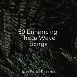 50 Enhancing Theta Wave Songs - Ambiente