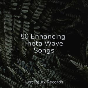 50 Enhancing Theta Wave Songs - Ambiente
