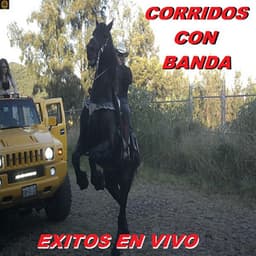 Exitos En Vivo - Corridos Con Banda