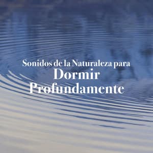 20 Sonidos de la Naturaleza para Dormir Profundamente con Música Relajante y Ruido Blanco - Sonidos de la Naturaleza Relajacion