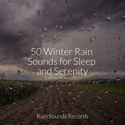 50 Winter Rain Sounds for Sleep and Serenity - Spa Relaxation