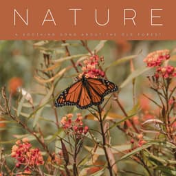Nature: A Soothing Song About The Old Forest - Outside HD Samples