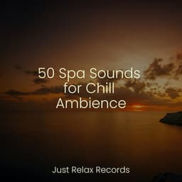 50 Spa Sounds for Chill Ambience - Bird Sounds