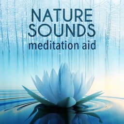 Nature Sounds Meditation Aid - Nature Sounds Meditation