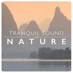 Tranquil Sound of Nature - Tranquil Music Sounds of Nature