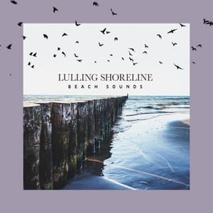 Lulling Shoreline - Beach Sounds