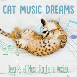 Cat Music Dreams : Deep Relief Music for Feline Anxiety - Cat Music