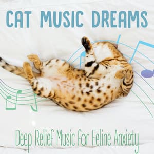 Cat Music Dreams : Deep Relief Music for Feline Anxiety - Cat Music