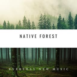Native Forest: Tribal Harmonies - Everyday New Music