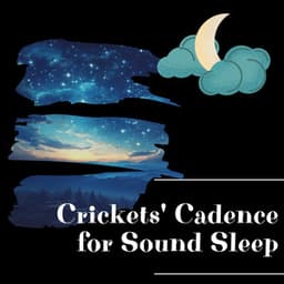 Crickets' Cadence for Sound Sleep - Night Sounds Channel