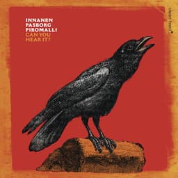 Can You Hear It? - Mikko Innanen