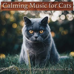 Calming Music for Cats: Sleeping Therapy Songs for Anxious Cats - RelaxMyCat