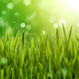 Organic Manifestation: Relaxing Background Nature Music - Worldwide Nature Studios