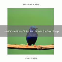 Hard White Noise Of Sea And Woods For Good Sleep - The Noise Project