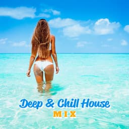 Deep & Chill House Mix: Best Summer Vibes, Balearic Sunset Mix, Ibiza Cafe Party Hits - DJ Chillax