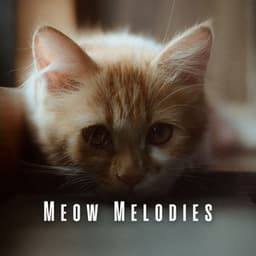 Meow Melodies: Jazz Lounge Harmonies for Cats - Cafe Smooth Jazz Radio