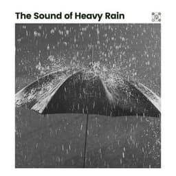 The Sound of Heavy Rain - Rain Sound Studio