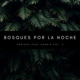 Bosques Por La Noche: Sonidos Para Dormir Vol. 2 - Sonidos de la Naturaleza para Dormir