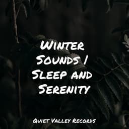 Winter Sounds | Sleep and Serenity - Amazing Spa Music