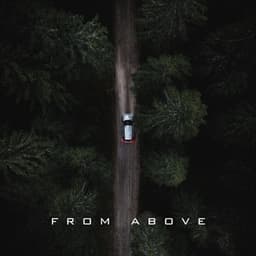 From Above - Sad Fiona