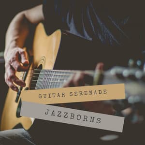 Guitar Serenade - Jazzborns